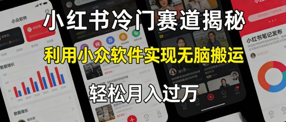 小红书冷门赛道揭秘,利用小众软件，实现无脑搬运，轻松月入过万！
