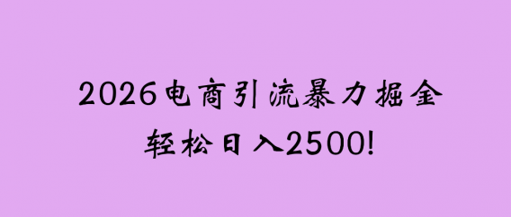 2026电商引流新玩法，日引200，日可入2500+