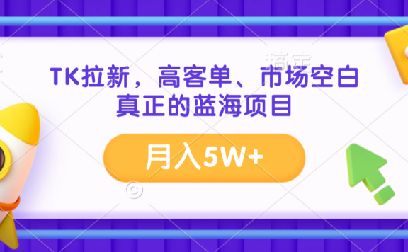 TK拉新，高客单、市场空白、正在的蓝海项目，月入5W+