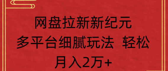 网盘拉新，新纪元多平台，细腻玩法，轻松月入2万+
