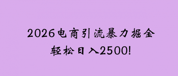 2026电商引流新玩法，日引200，日可入2500+