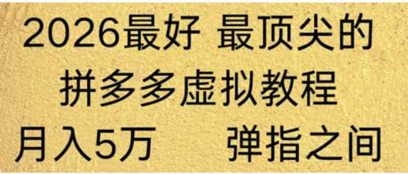 拼多多虚拟店懒人运营法：机器人包办回复发货，月入5W+教程！