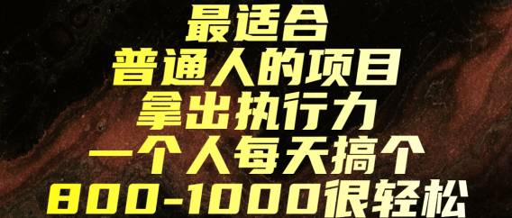 最适合普通人的项目,拿出执行力一个人每天搞个800-1000很轻松